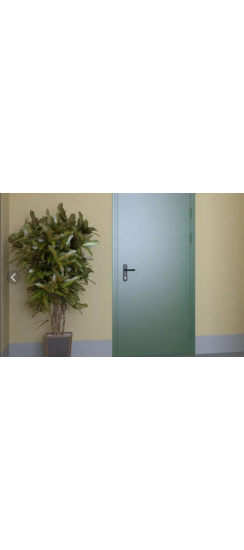 Дверь металлическая техническая