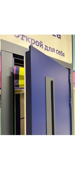 Дверь с терморазрывом Термо-Эко+ Инсайд