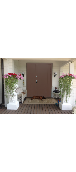 Дверь с терморазрывом Термо-S2