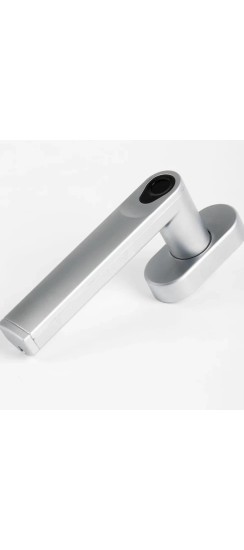 Оконная ручка с отпечатком пальца. Цвет: Светлый антрацит