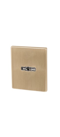 Накладка на сувальдный замок ESC.S-auto.USS/K (PS Protector/USS) FSG флорентийское золото