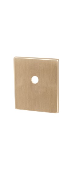 Накладка на шток цилиндра ESC.O.USS/K (BK Protector/USS) FSG флорентийское золото