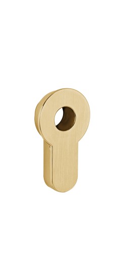 Вставка под шток цилиндра INSERT TANG SSG-39 сатинированное золото