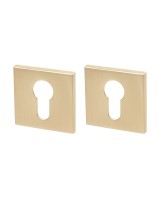 Накладка под цилиндр ET.K.YM FSG-39 флор. золото